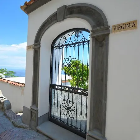 Villa Virginia -no Steps -private Pool-free Wifi Praiano